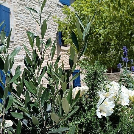 Namaste Home, Votre Havre De Paix A St Remy ! Parking Wifi Inclus Saint-Rémy-de-Provence Esterno foto