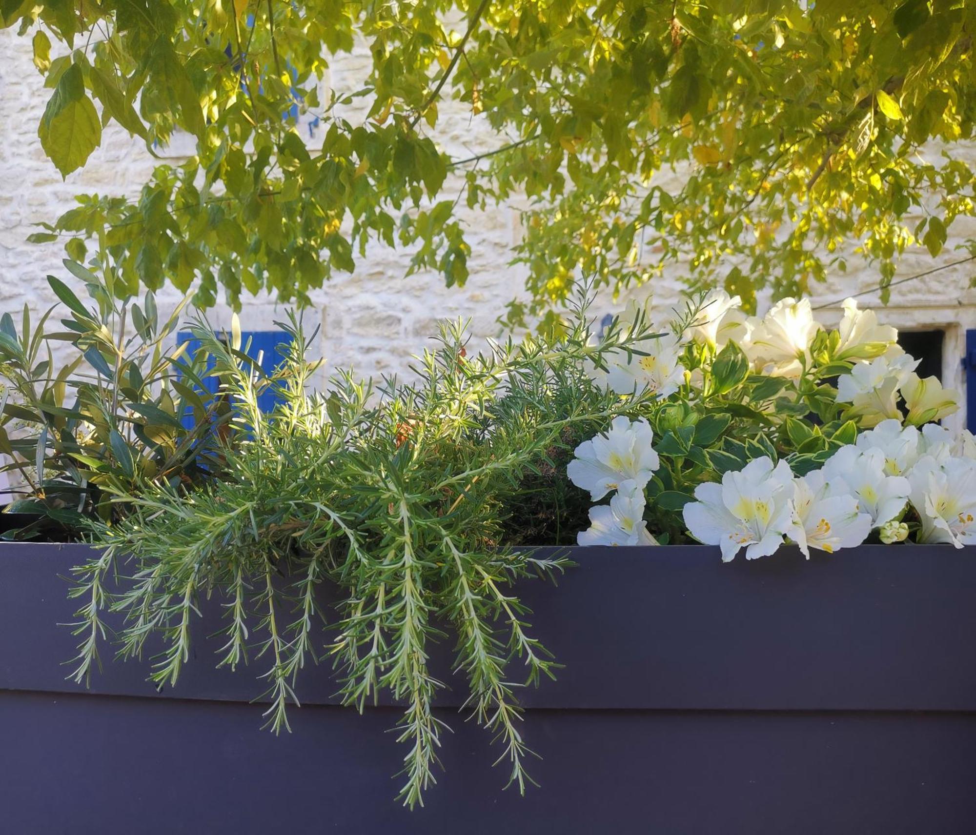 Namaste Home, Votre Havre De Paix A St Remy ! Parking Wifi Inclus Saint-Rémy-de-Provence Esterno foto