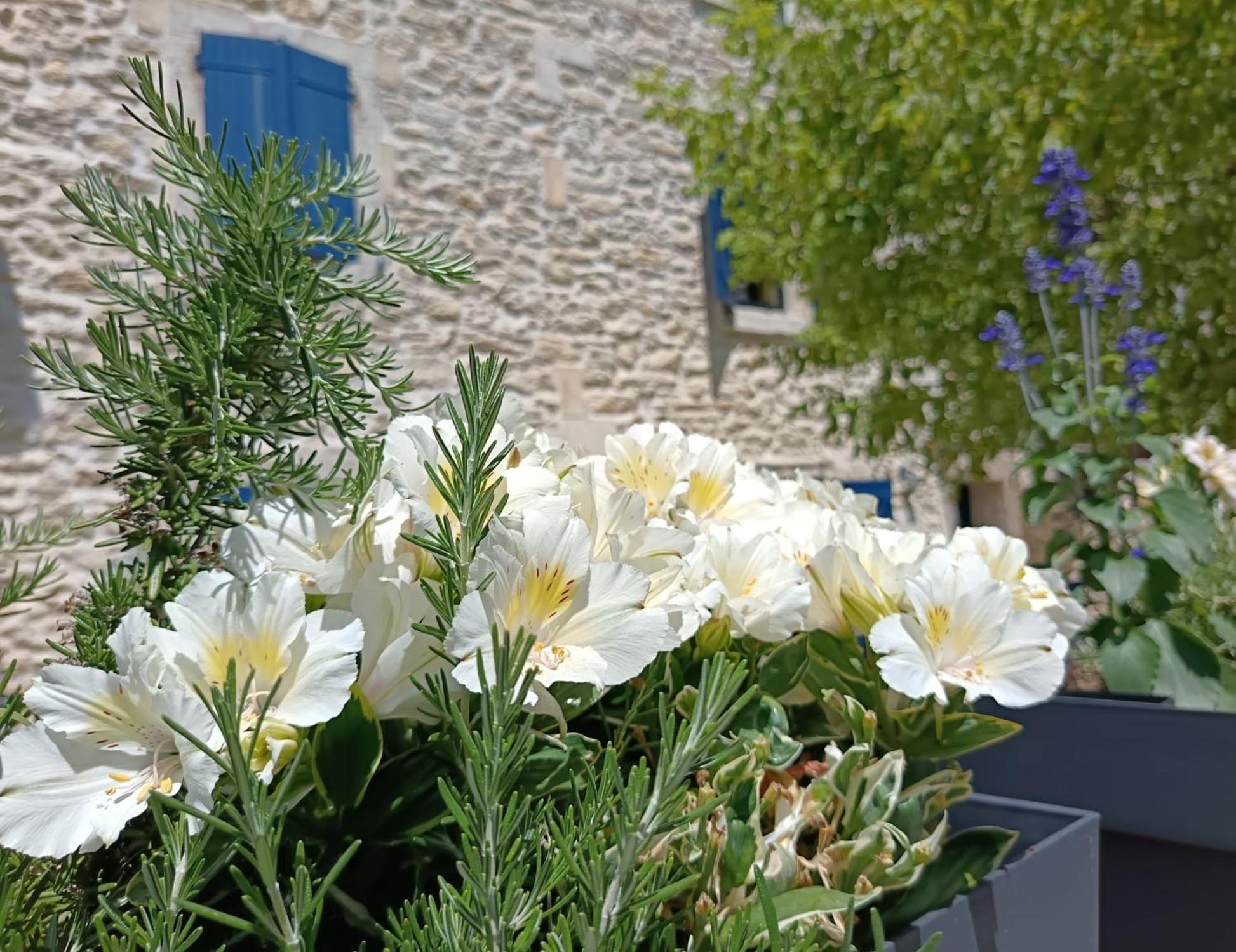 Namaste Home, Votre Havre De Paix A St Remy ! Parking Wifi Inclus Saint-Rémy-de-Provence Esterno foto