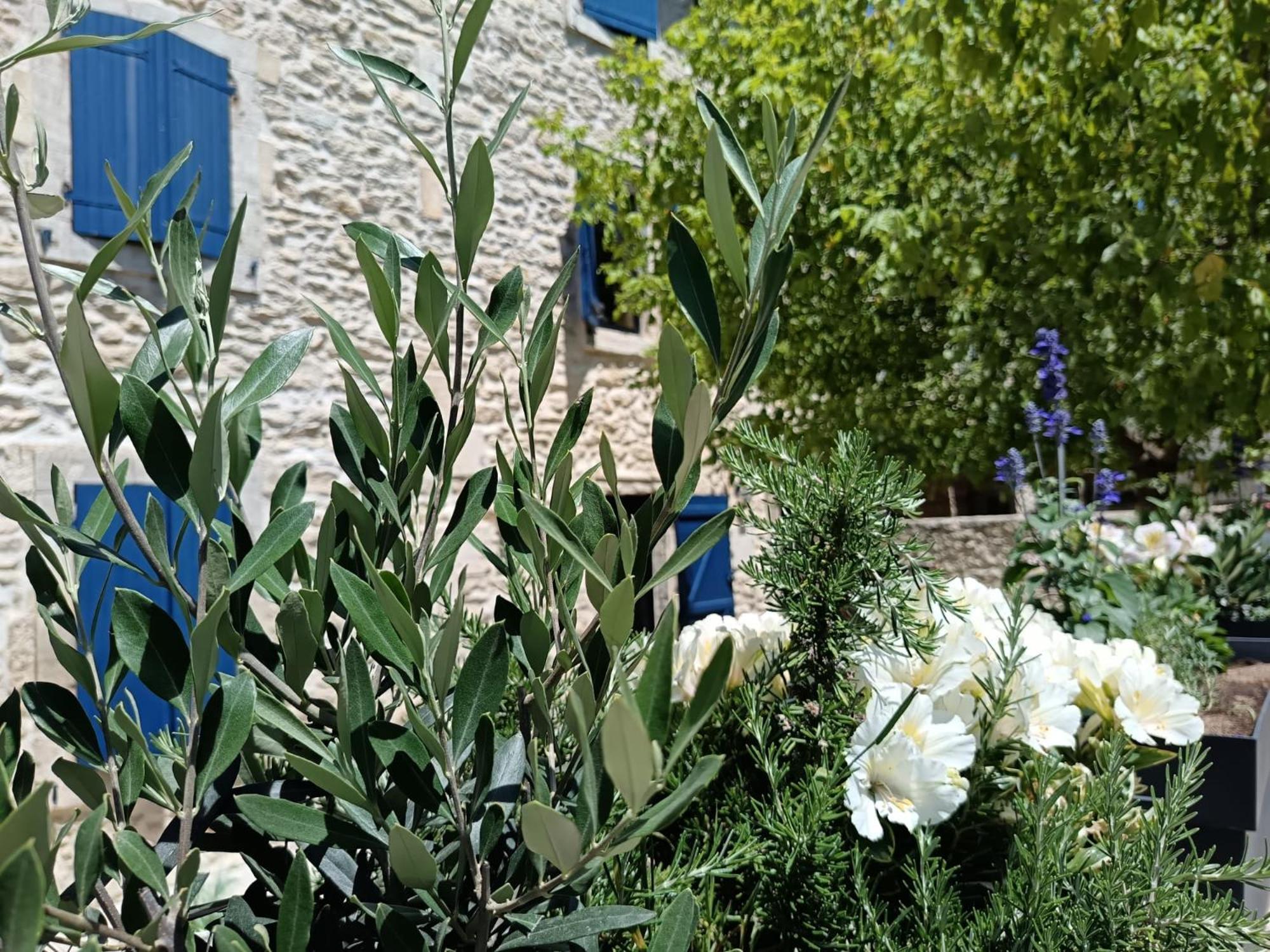 Namaste Home, Votre Havre De Paix A St Remy ! Parking Wifi Inclus Saint-Rémy-de-Provence Esterno foto